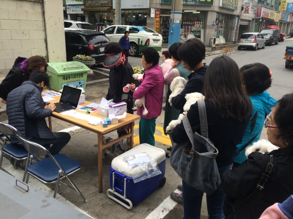 동물등록 시술 모습 및 동물등록자 광견병 무료접종 현장