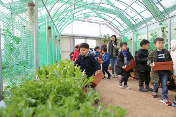 도시농업실증포, 어린이 체험교육