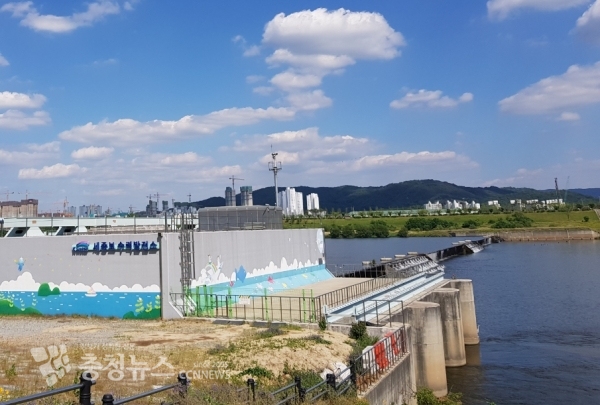 세종보 수문 개방전 / 충청뉴스 최형순 기자