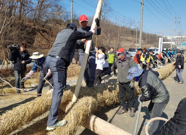 지난해 기지시줄다리기 큰줄(수줄) 제작 모습