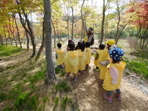 유아숲체험 사진