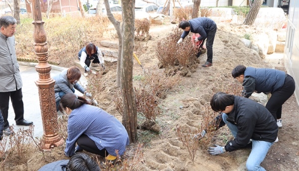 대전센텀병원 직원들이 서구 둔산동 병원 인근 공원에서 연산홍을 심고 있다.