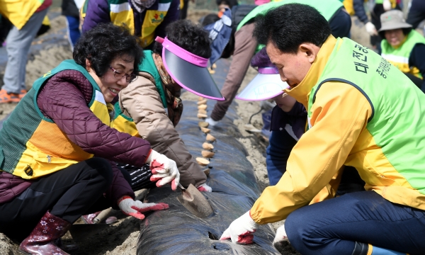 중구자원봉사센터, 이웃과 나눌 씨감자 심어