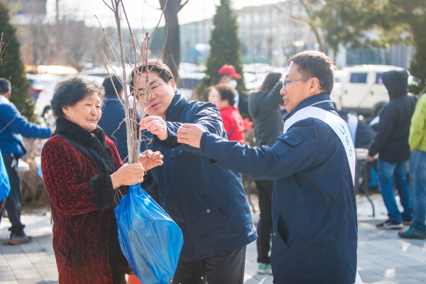 오세현 아산시장이 호두나무를 아산시민에게 나눠주고 있다.