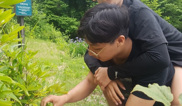 대안 청소년 산림교육프로그램