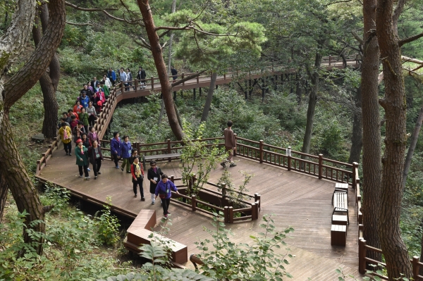 국립산림치유원 데크로드