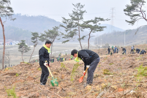 식목일 행사에 참여해 나무를 심고있는 박정현 군수