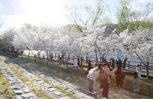 지난해 대청공원 모습