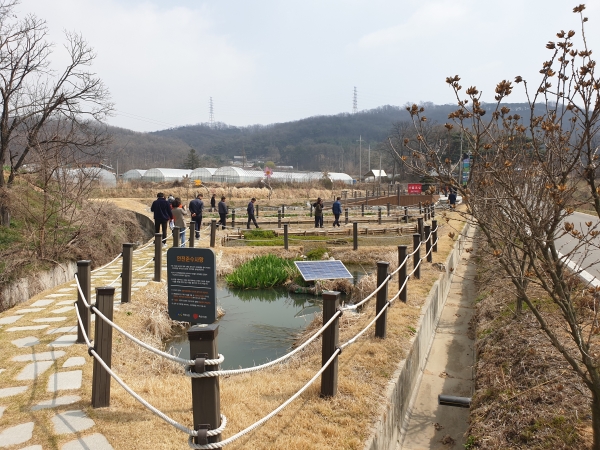 일대마을 자연정화생태습지 견학