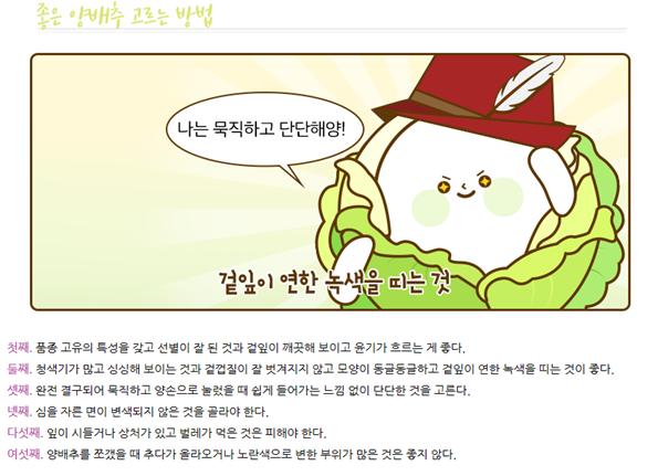 좋은 양배추 고르는 방법 및 양배추 신선 보관방법, 양배추의 효능