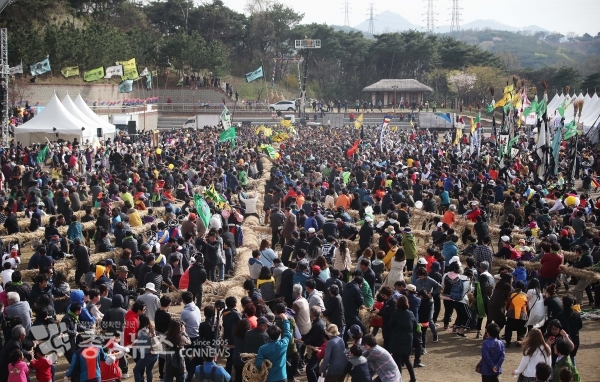 2018년 기지시줄다리기 민속축제 사진.