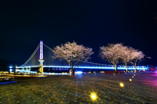 예당호 출렁다리 야경