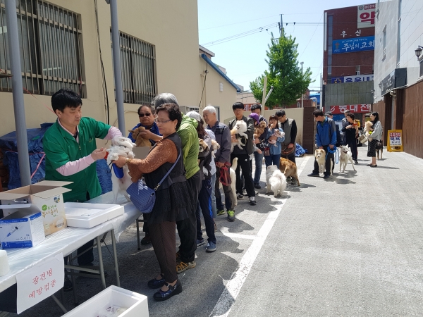 대전 동구, 반려동물 광견병 무료로 예방