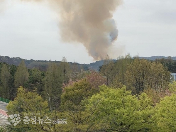 대전 유성구 대정동 야산 산불.