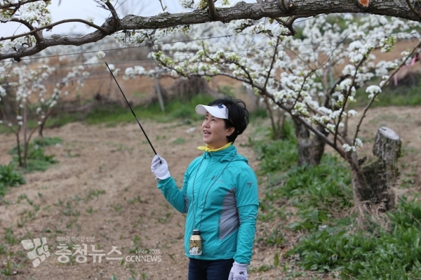 엄소영 천안시의회 의원