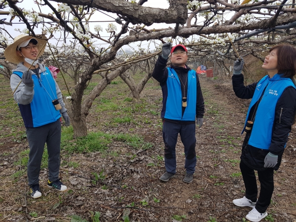 농협은행 충남본부 배화접 봉사활동 실시 모습