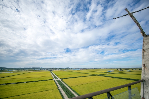 합덕 신리성지 소들평야 가을 전경
