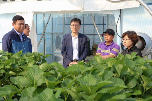 이건호 부시장 농업현장 방문(스마트팜 시설원예 실용기술보급 시범사업장).