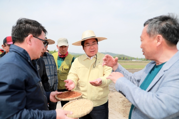 오세현 아산시장이 양완모 식량작물팀장과 변정섭 모종1통장으로부터 일반종자와 철분으로 코팅한 종자에 관한 설명을 듣고 있다.