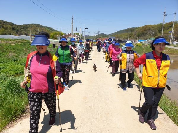 노르딕 걷기 열풍_서부면 판교마을