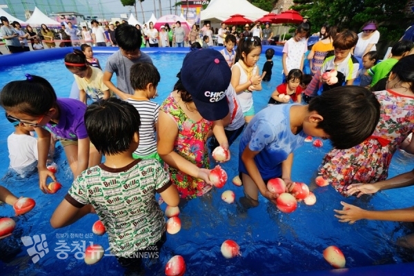 지난해 조치원복숭아축제