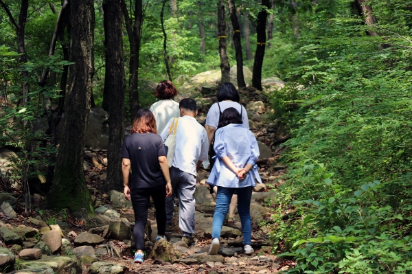 대운산치유의숲 산림치유프로그램