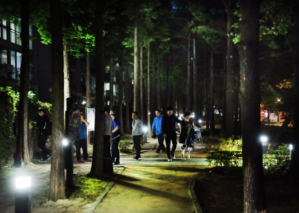 서구, 황톳길 보행조명 설치