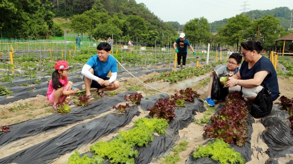 한국타이어앤테크놀로지(주) 가족농장 Farm Party 이벤트 진행.