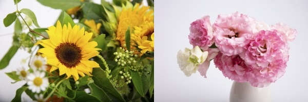 해바라기와 리시안셔스