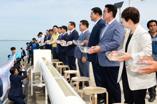 천수만해역 대하 공동방류 모습