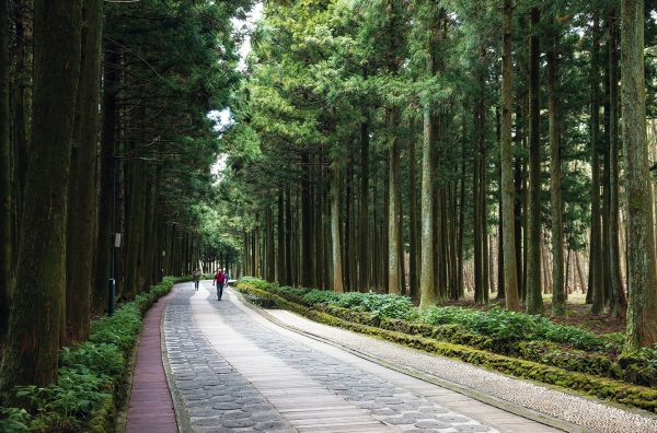 지난해 제주절물자연휴양림에서 방문객이 무장애나눔길을 걷고 있다.