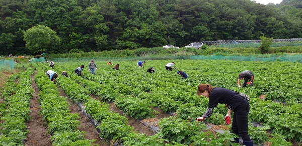 행복나눔농장 봉사활동