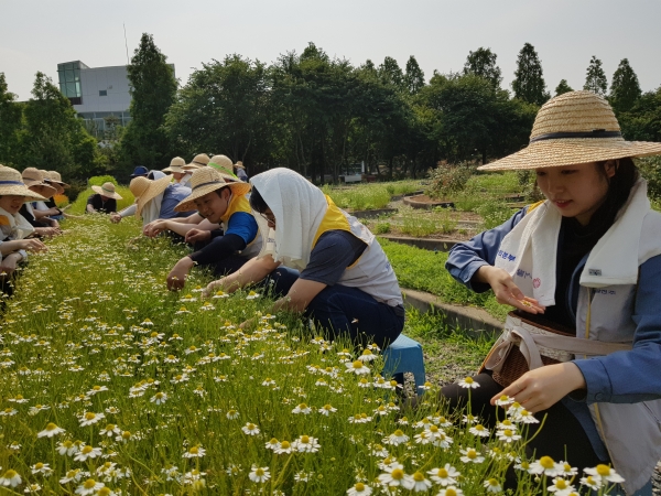 솔뫼베네딕도의집 허브농장 가꾸기 사회공헌활동 시행