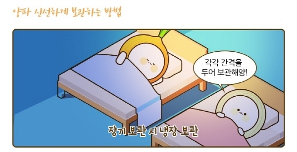 양파 고르는 방법 및 효능 일러스트 자료