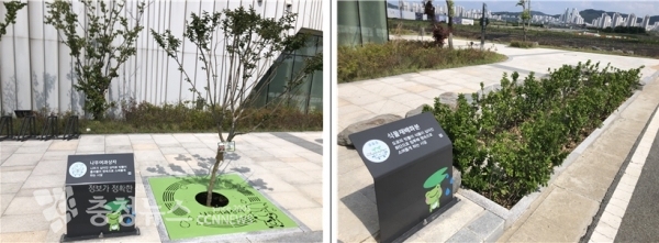 (체험학습장) 나무여과상자,(체험학습장) 식물재배화분