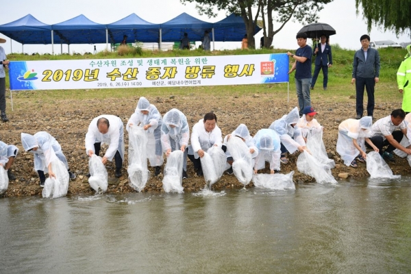 토종붕어종자 81만여 마리 방류 행사