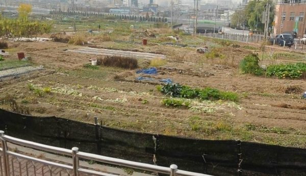 사업대상지 현장사진
