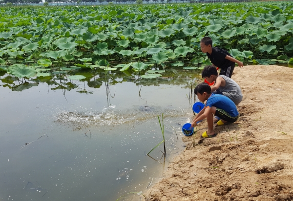 제1회 버그내 연호문화축제 토종어종 방류(체험)