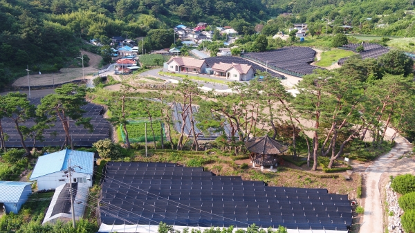 충청남도에서 선정한 100대 소나무숲(우리군 5개소) 중 남이면 하금리 소나무숲 정비 완료