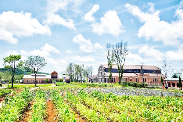 전북 고창 상하지구 농촌테마공원 전경
