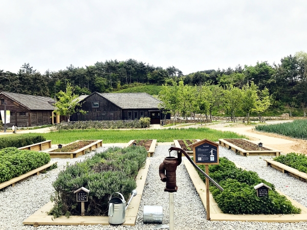 전북 고창 상하지구 농촌테마공원 전경