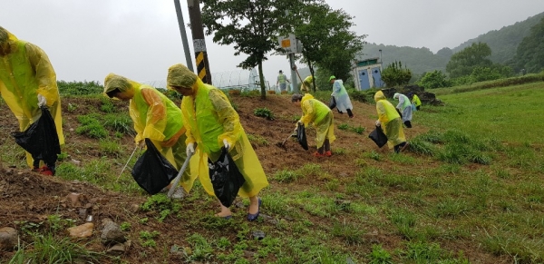 휴가철 피서지 대청소 실시