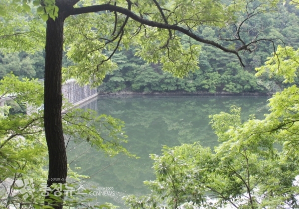 세천저수지 풍경