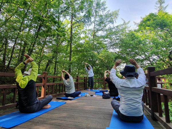 국립산림치유원 마실치유숲길 명상프로그램
