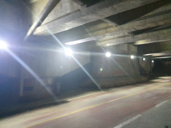 대전천변 교량 하부조명 70등 교체완료 (교량 하부조명 현장 모습)