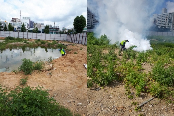 하절기 방역활동 강화 - 모기유충 구제, 잔류분무소독 실시 모습