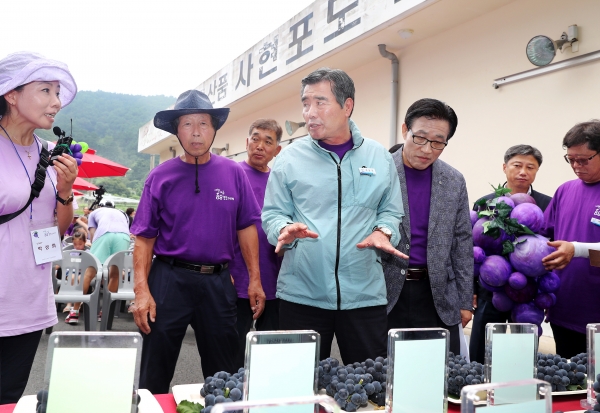 88 포도데이 개최 모습