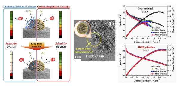 논문 대표 이미지