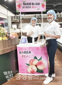 한국 복숭아, 캄보디아에 첫 선보여 / 충청뉴스 최형순 기자