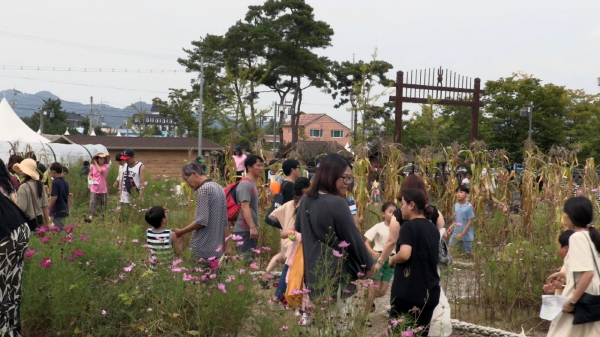 의좋은형제 여름축제 서리체험